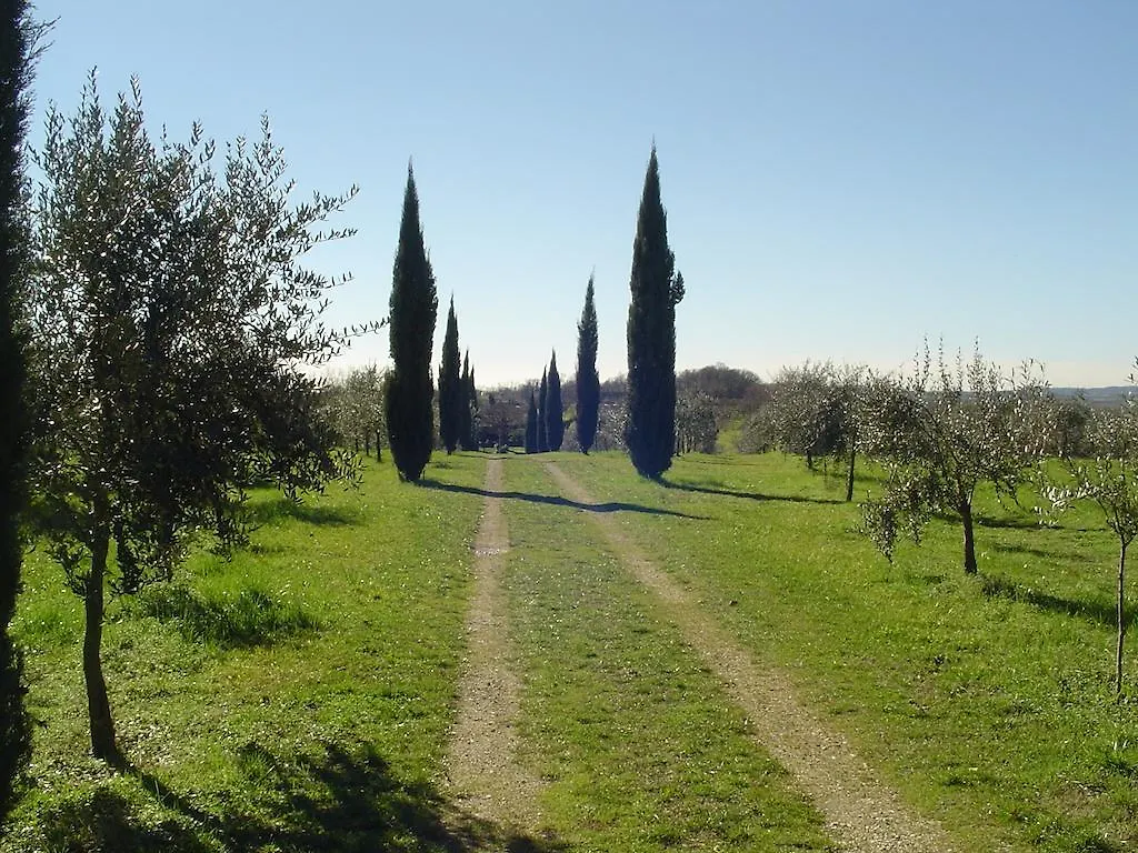 Agriturismo Antica Dimora Del Turco Sona